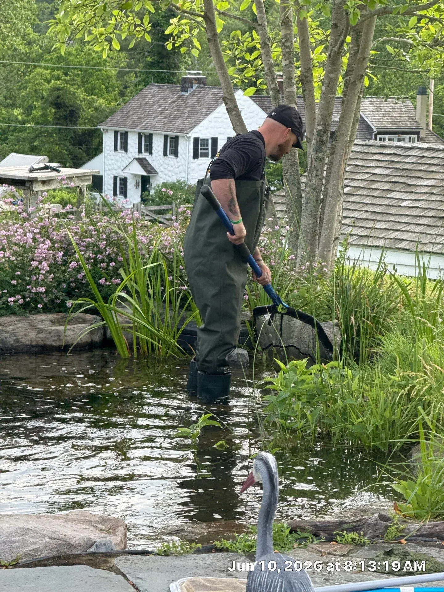 Rock Water Ponds technician performing scheduled maintenance in a planted backyard pond