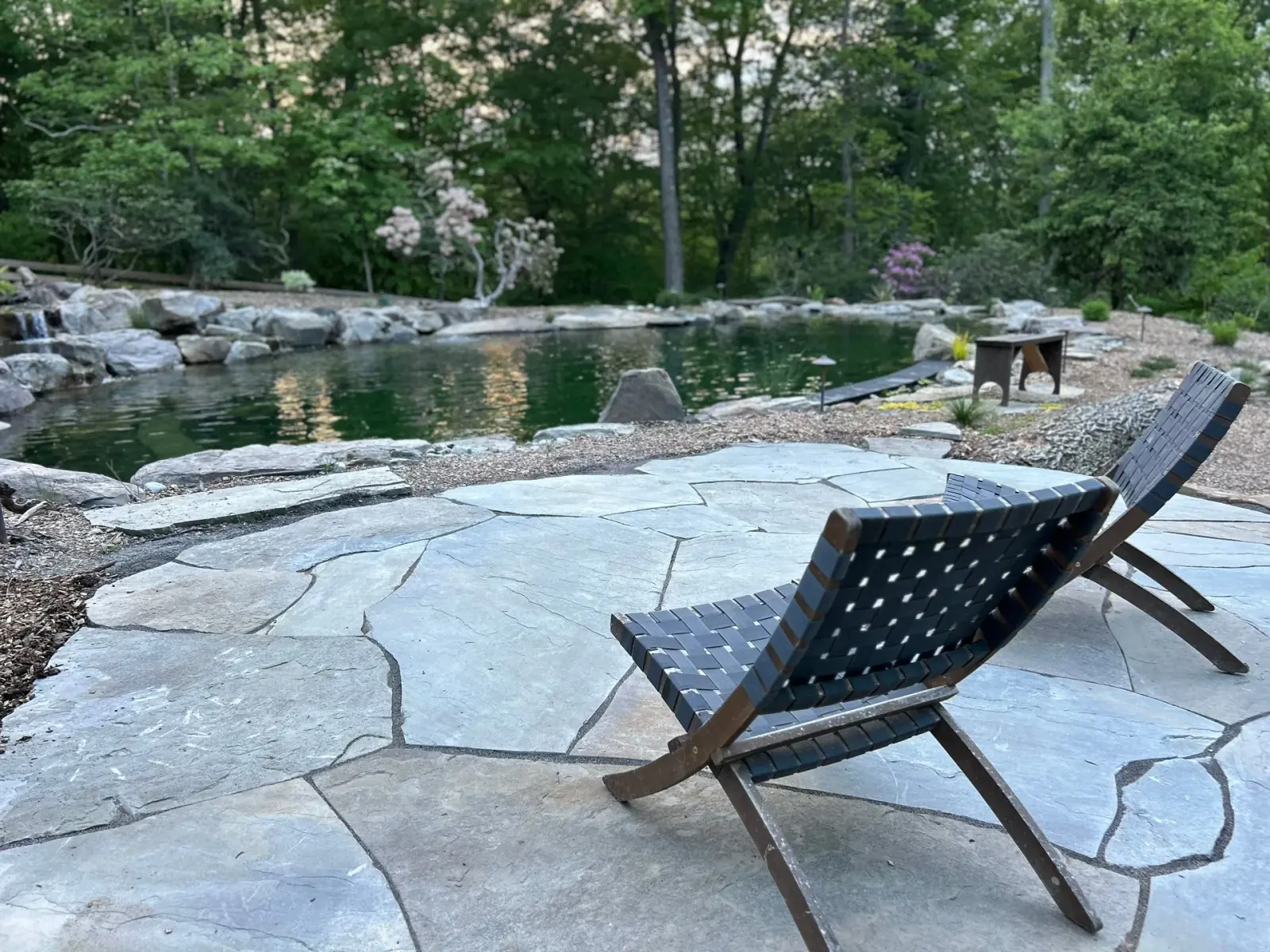 Natural swim pond with stone ledges, aquatic plants, and clear water