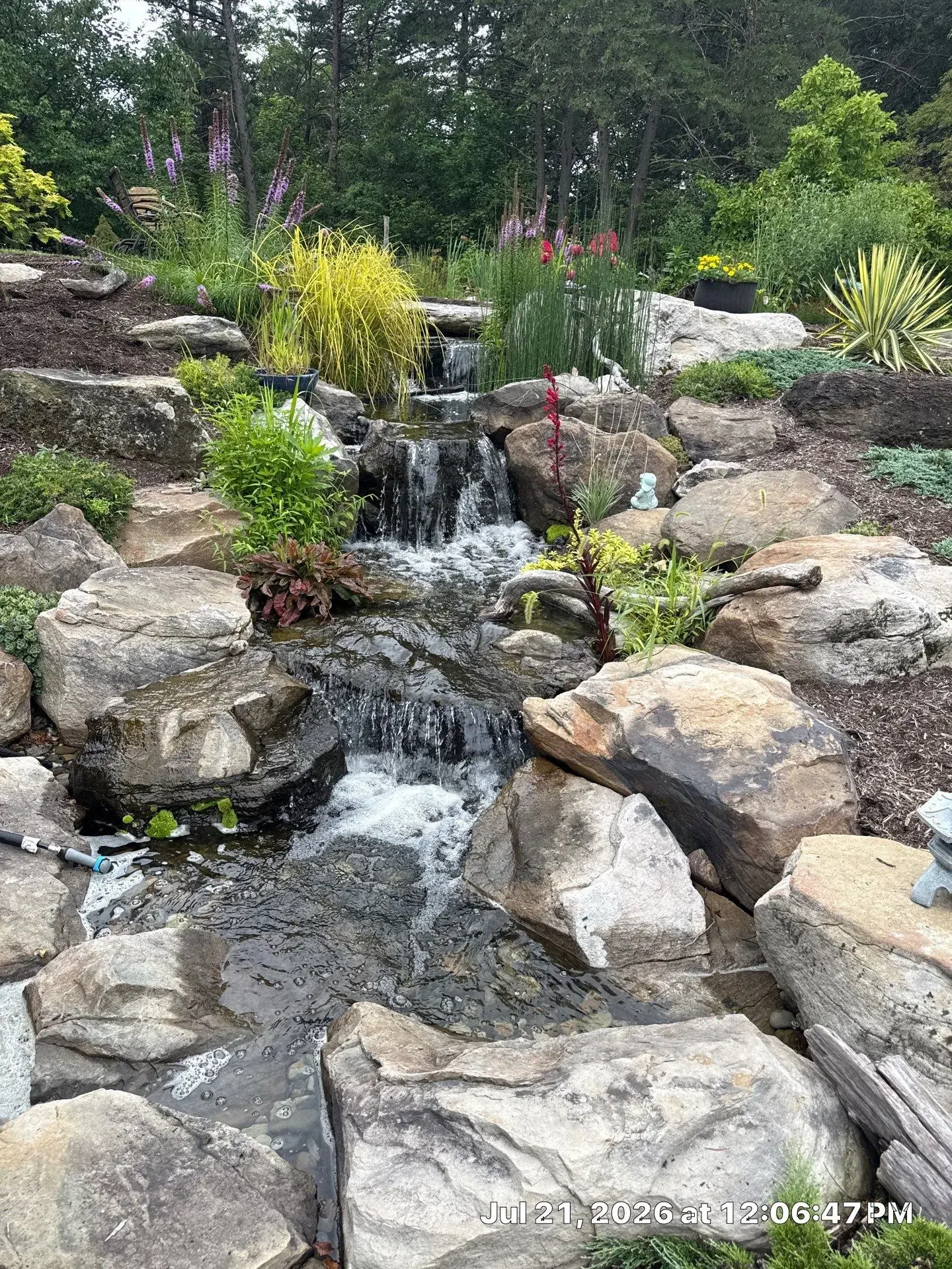 Recently completed layered natural stone waterfall with flowering plantings