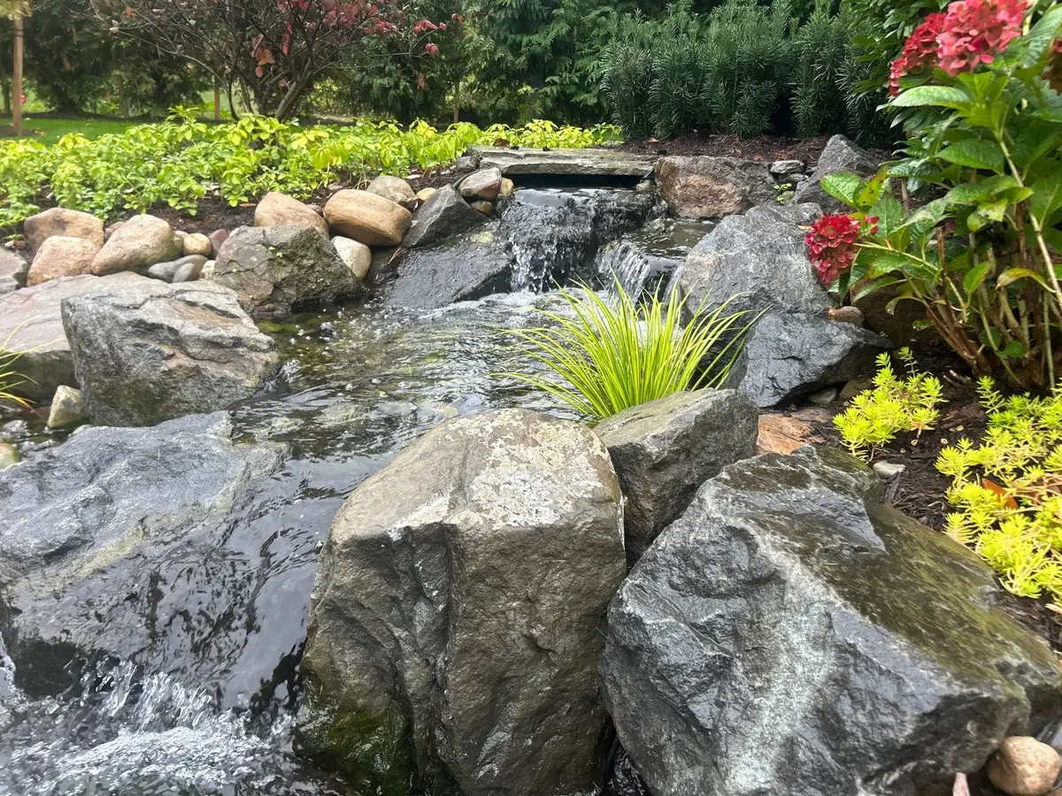 Completed backyard pond with a natural stream and aquatic plants