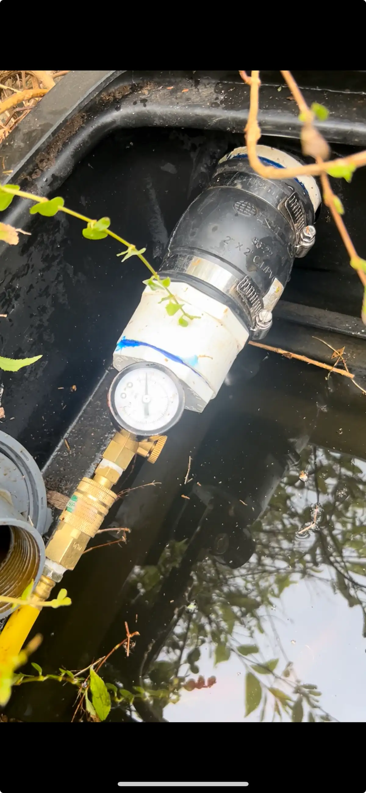 Rock Water Ponds technician performing dye test for pond leak detection