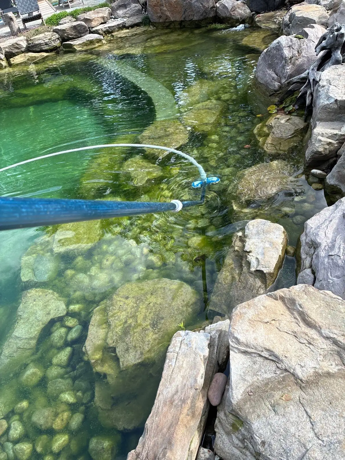 Koi pond maintenance in Delaware