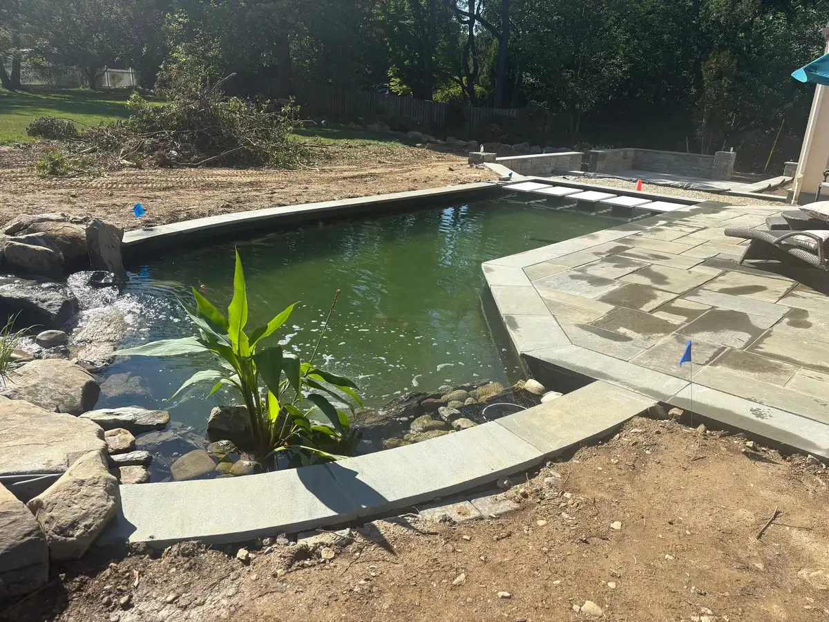 Clear pond water after professional algae treatment in Delaware